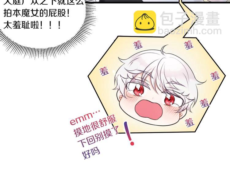 序章 幼崽大佬想要当皇帝？11