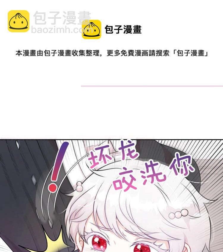 序章 幼崽大佬想要当皇帝？28