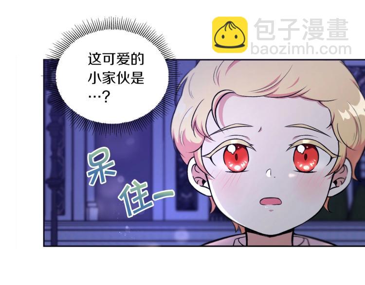 序章 幼崽大佬想要当皇帝？47