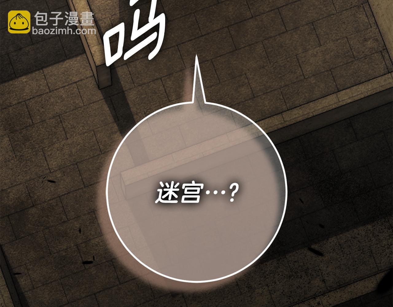 第119话 魔力秀110