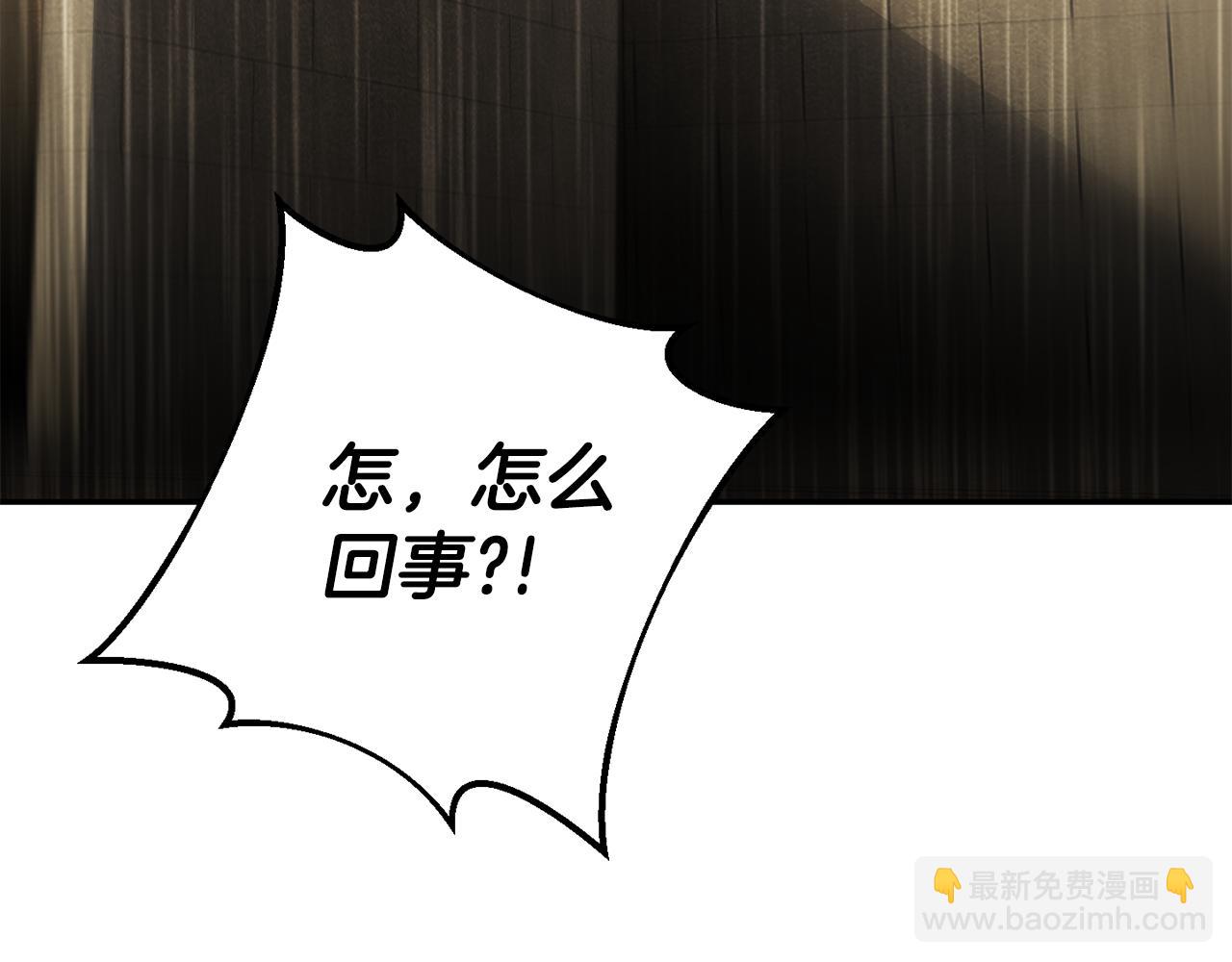 第119话 魔力秀208