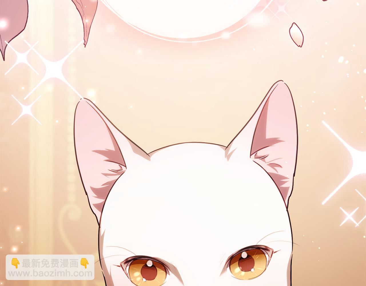 第119话 魔力秀278