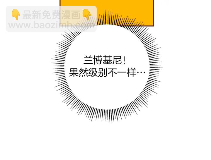 第141话 新手上路137