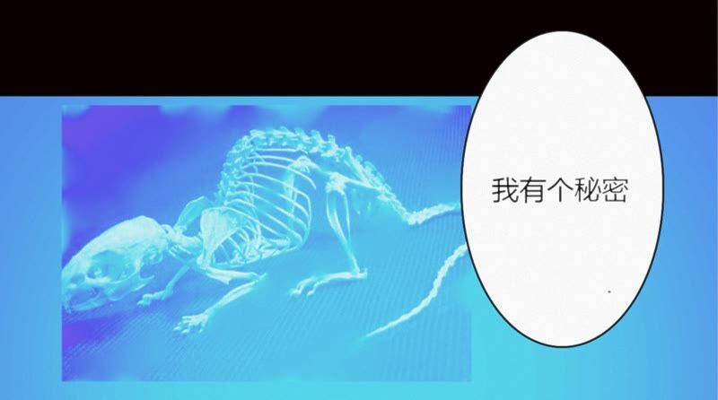 第112话 秘密67