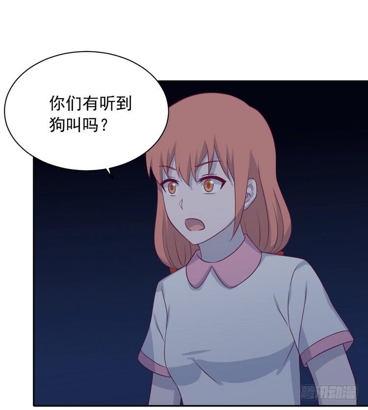 大结局：永远是你的忠犬男友。1