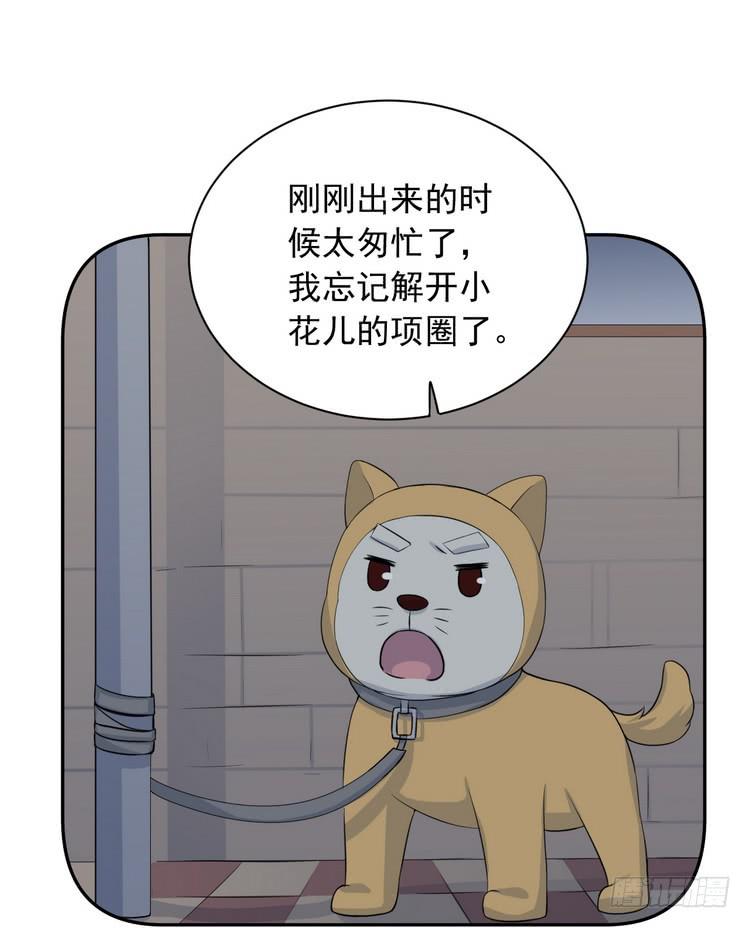 大结局：永远是你的忠犬男友。10