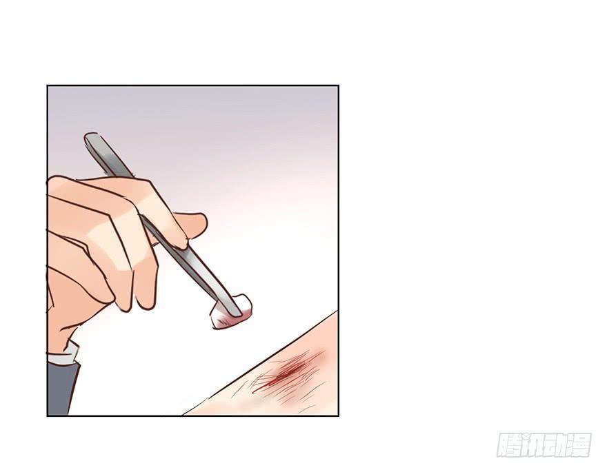 靡不有初19