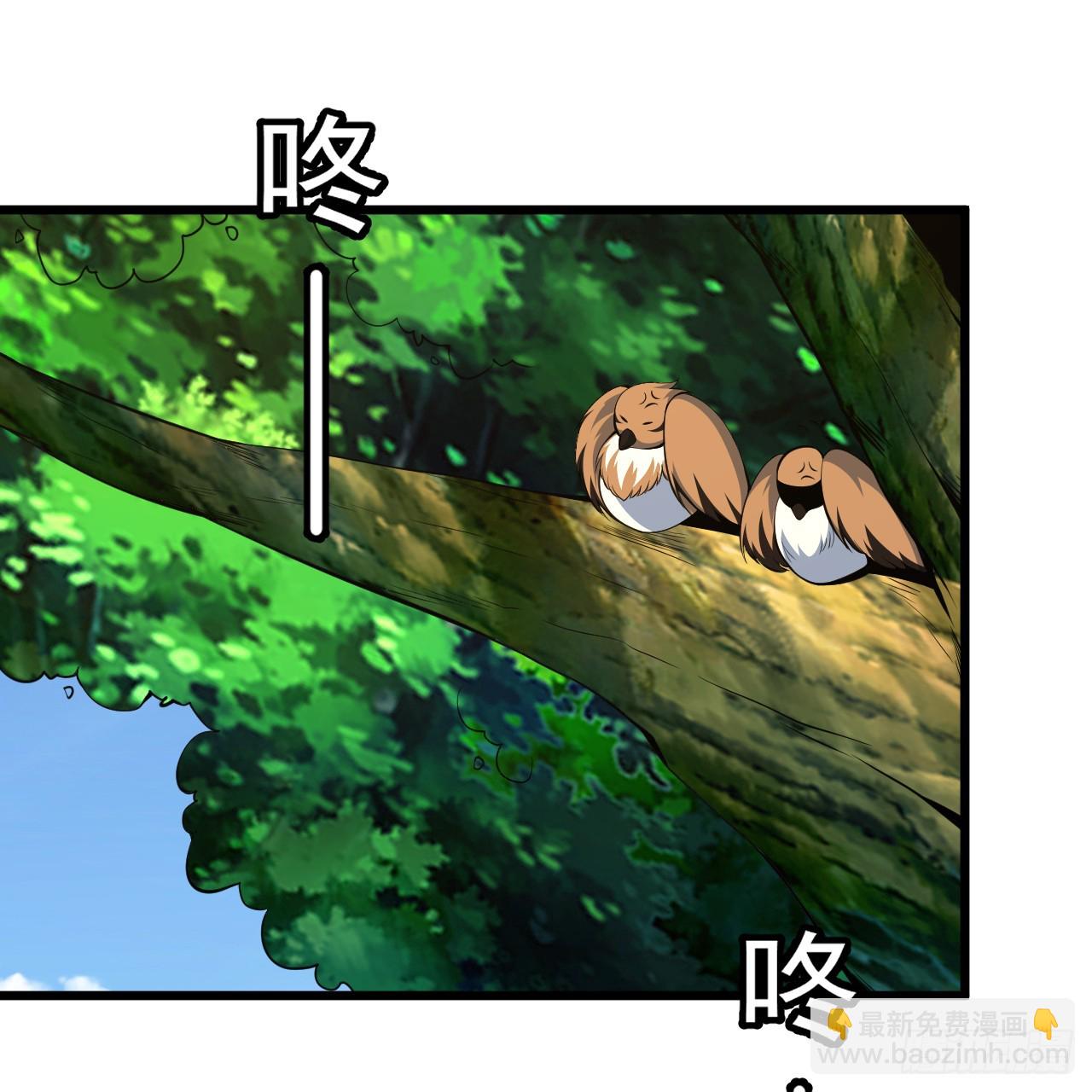 178回-沈凝竹归来22