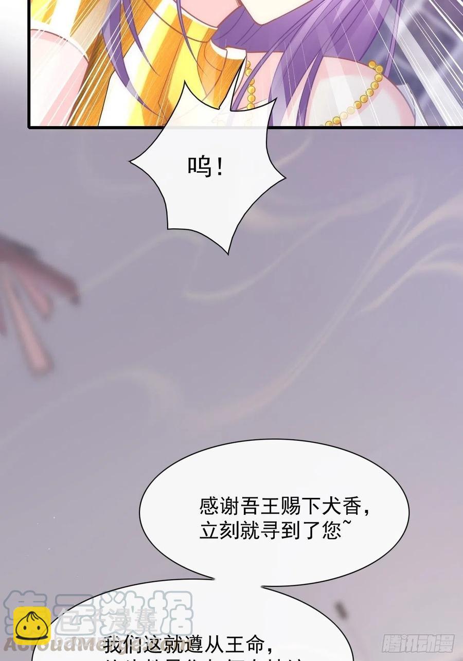072 犬香12