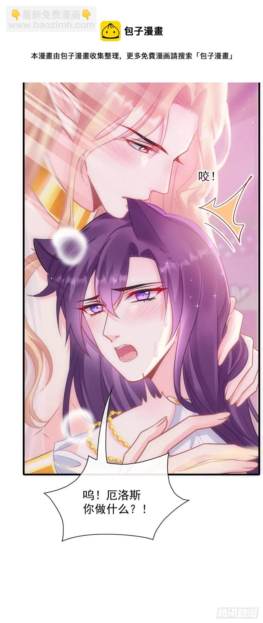 072 犬香23
