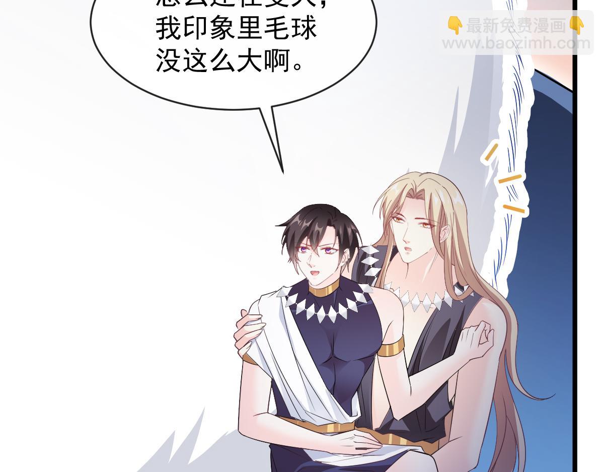 116 毛球蹦迪床61
