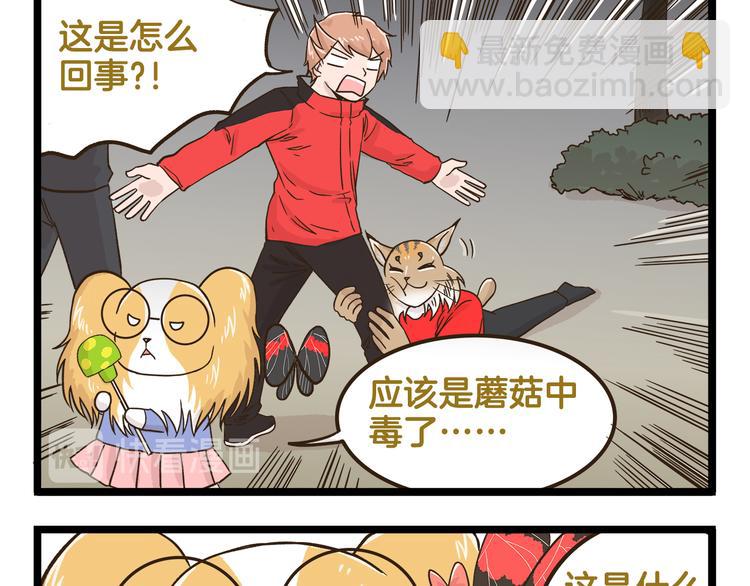 第143话 登山历险记 下篇12