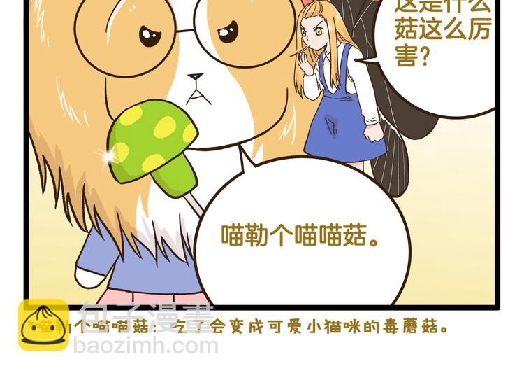 第143话 登山历险记 下篇13