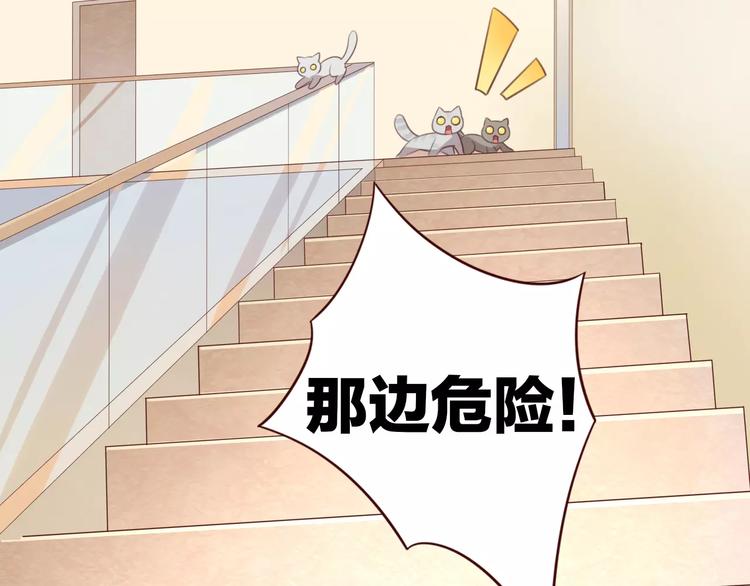 第29话 花花身份被发现34