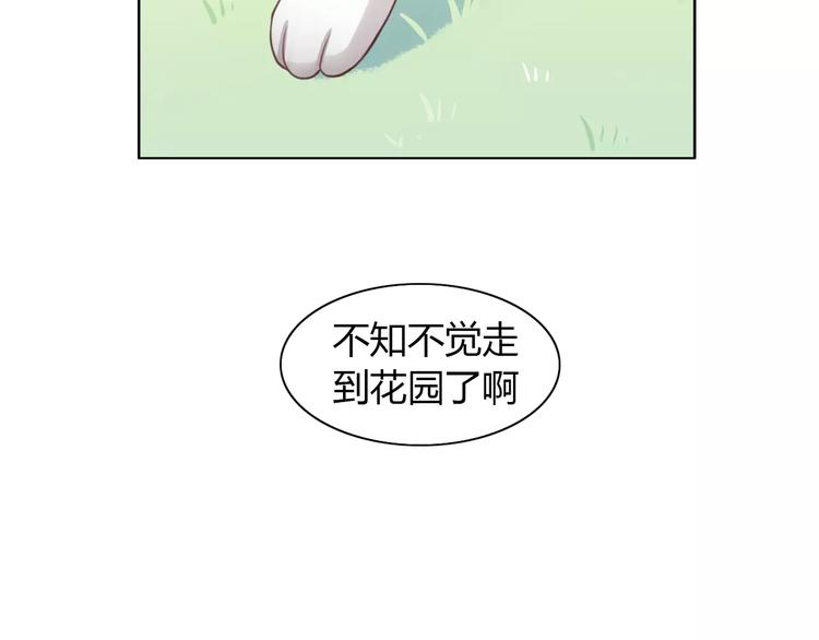 第36话  为什么不爱我！30