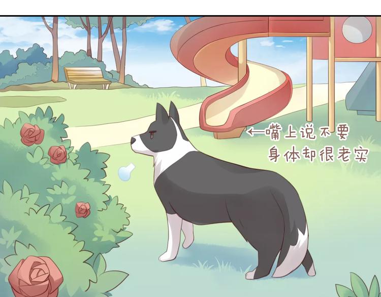第36话  为什么不爱我！31
