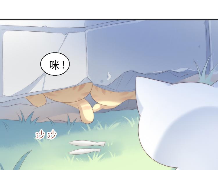 第63话 她的秘密70