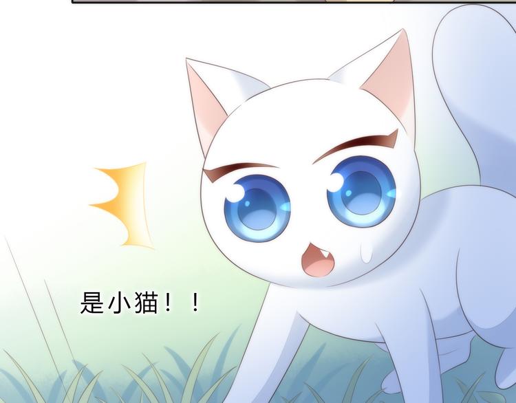 第63话 她的秘密72