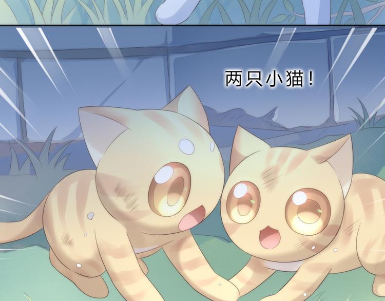 第63话 她的秘密73