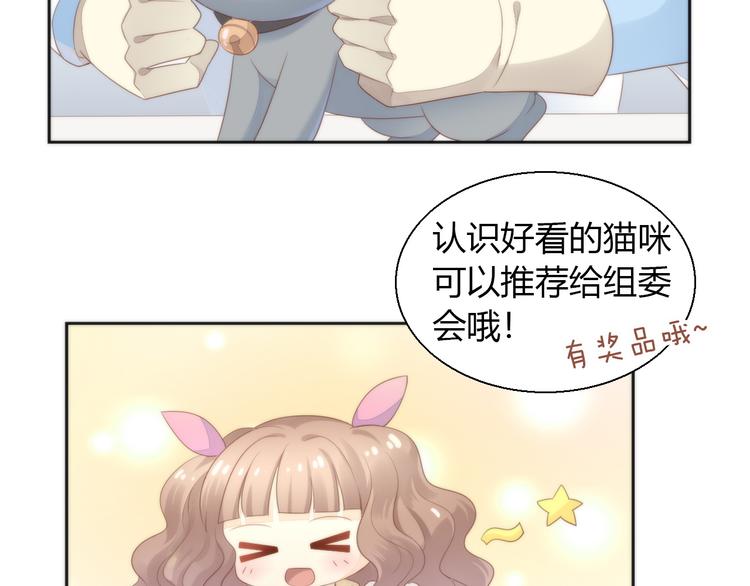 第76话 猫咪选美大赛10