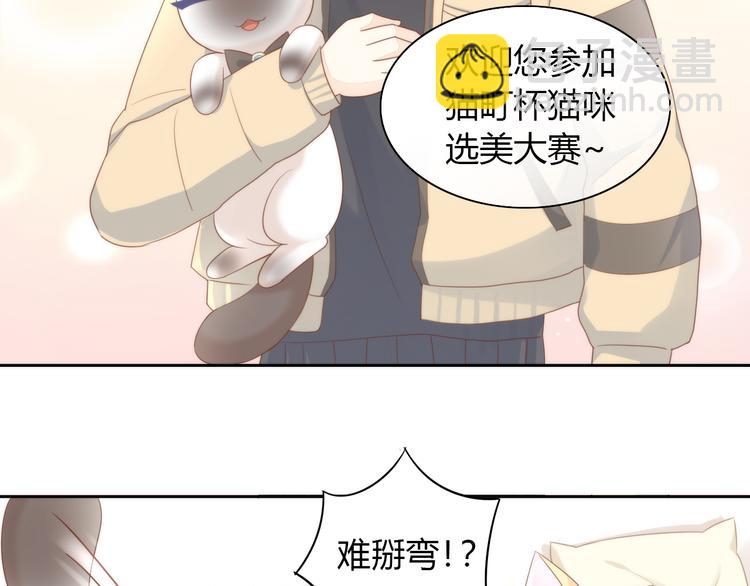 第76话 猫咪选美大赛19