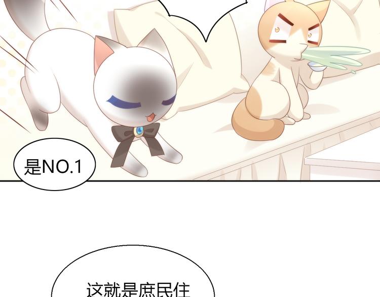 第76话 猫咪选美大赛20