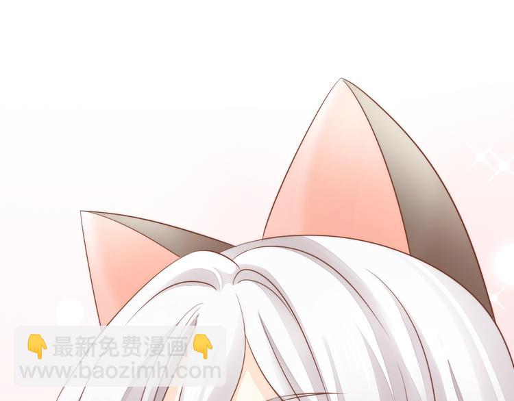 第76话 猫咪选美大赛22