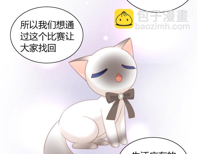 第76话 猫咪选美大赛32