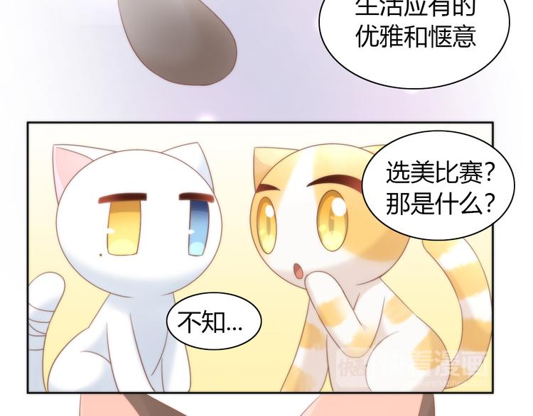 第76话 猫咪选美大赛33