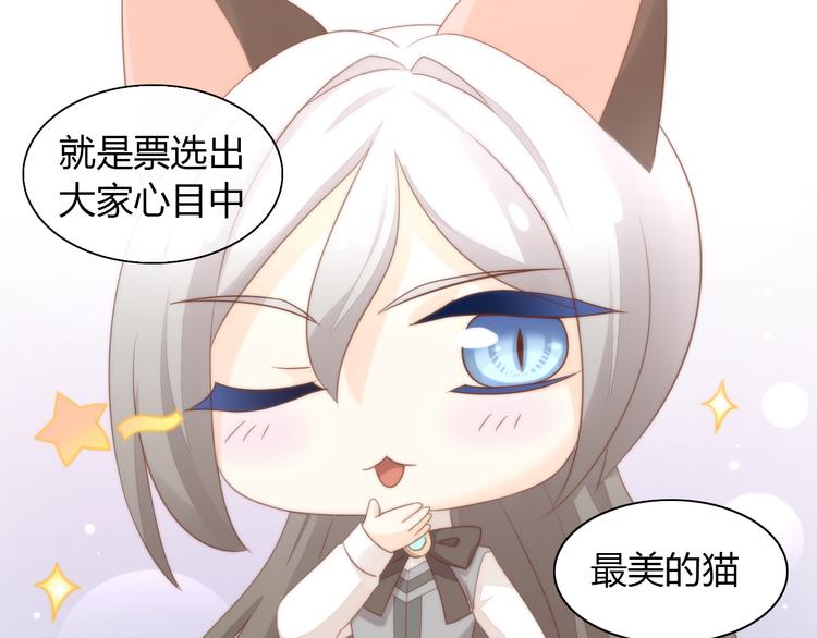 第76话 猫咪选美大赛34