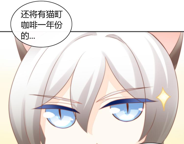 第76话 猫咪选美大赛40