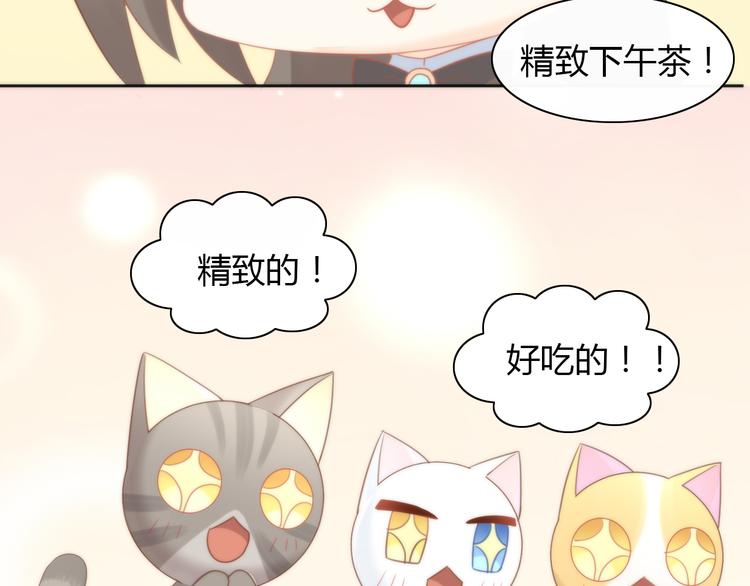 第76话 猫咪选美大赛41