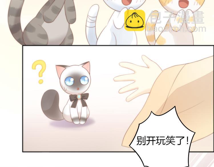 第76话 猫咪选美大赛42