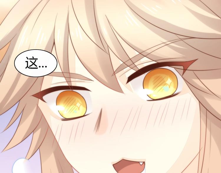 第76话 猫咪选美大赛48