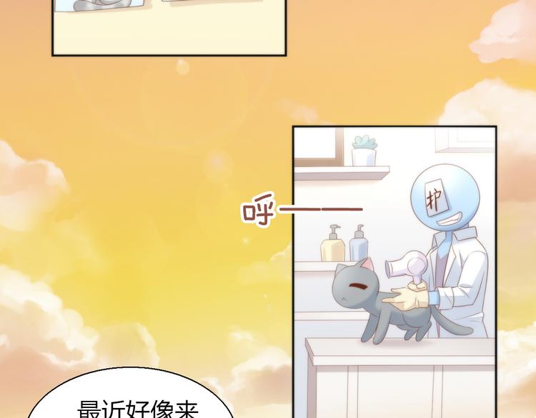 第76话 猫咪选美大赛5