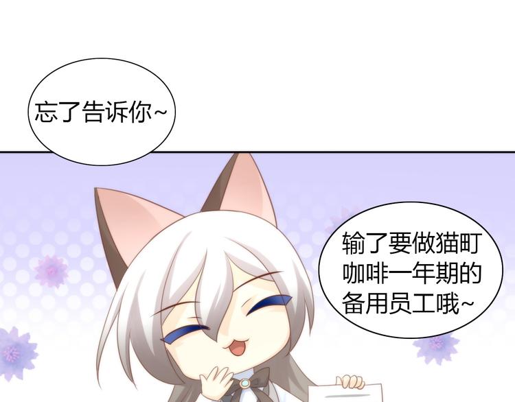 第76话 猫咪选美大赛64