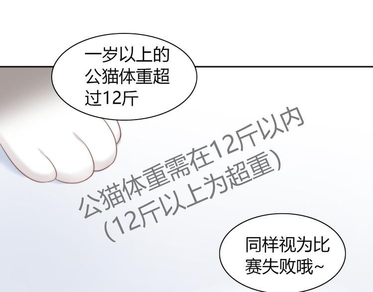 第76话 猫咪选美大赛67