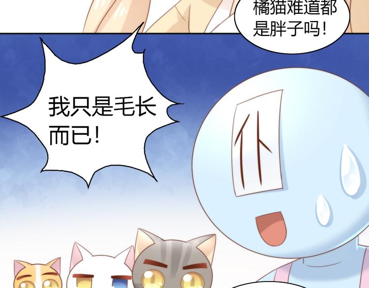 第76话 猫咪选美大赛70