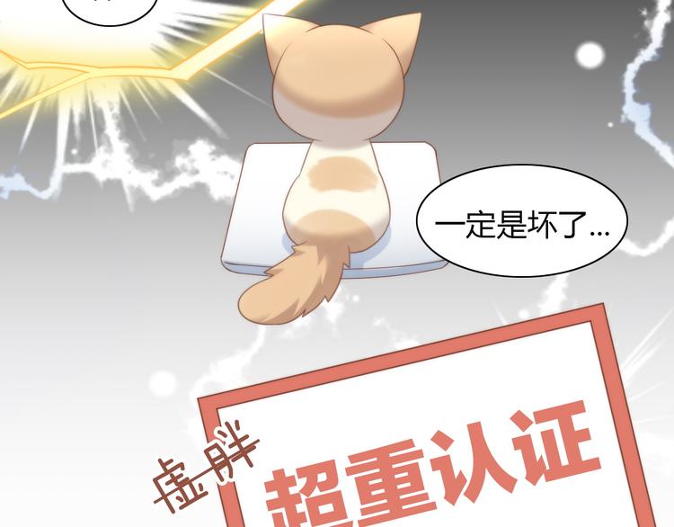 第76话 猫咪选美大赛73