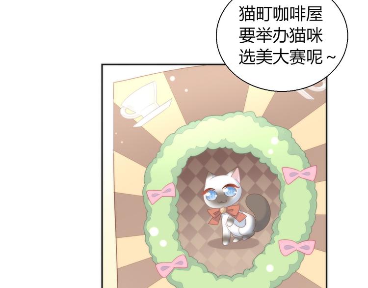 第76话 猫咪选美大赛8