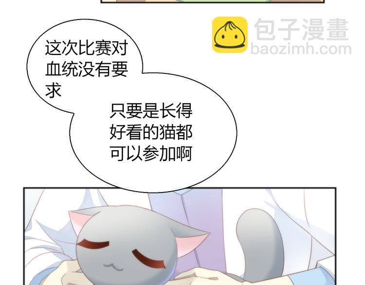 第76话 猫咪选美大赛9