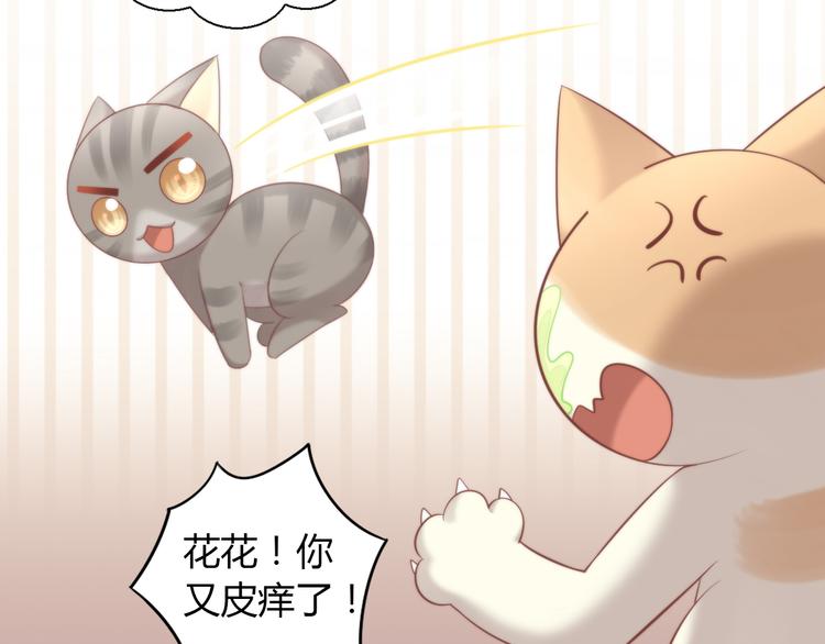 第77话 燃烧你的卡路里28