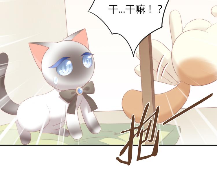 第81话 喜新厌旧36