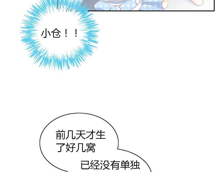 第110话 有情鼠终成眷属81