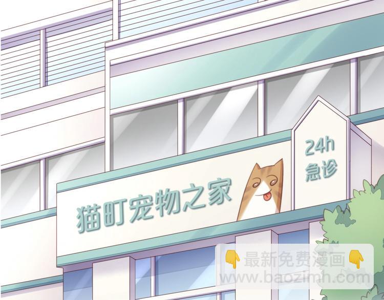 第114话 猫咪也要刷牙！24