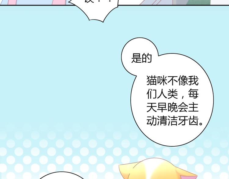 第114话 猫咪也要刷牙！30