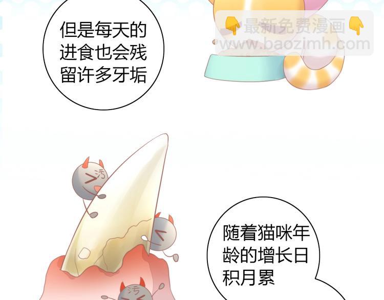 第114话 猫咪也要刷牙！31