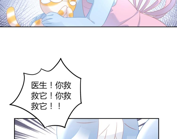 第114话 猫咪也要刷牙！37