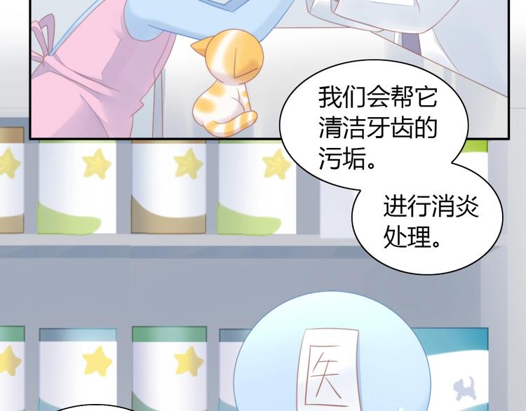 第114话 猫咪也要刷牙！40