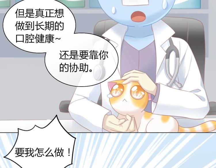 第114话 猫咪也要刷牙！41